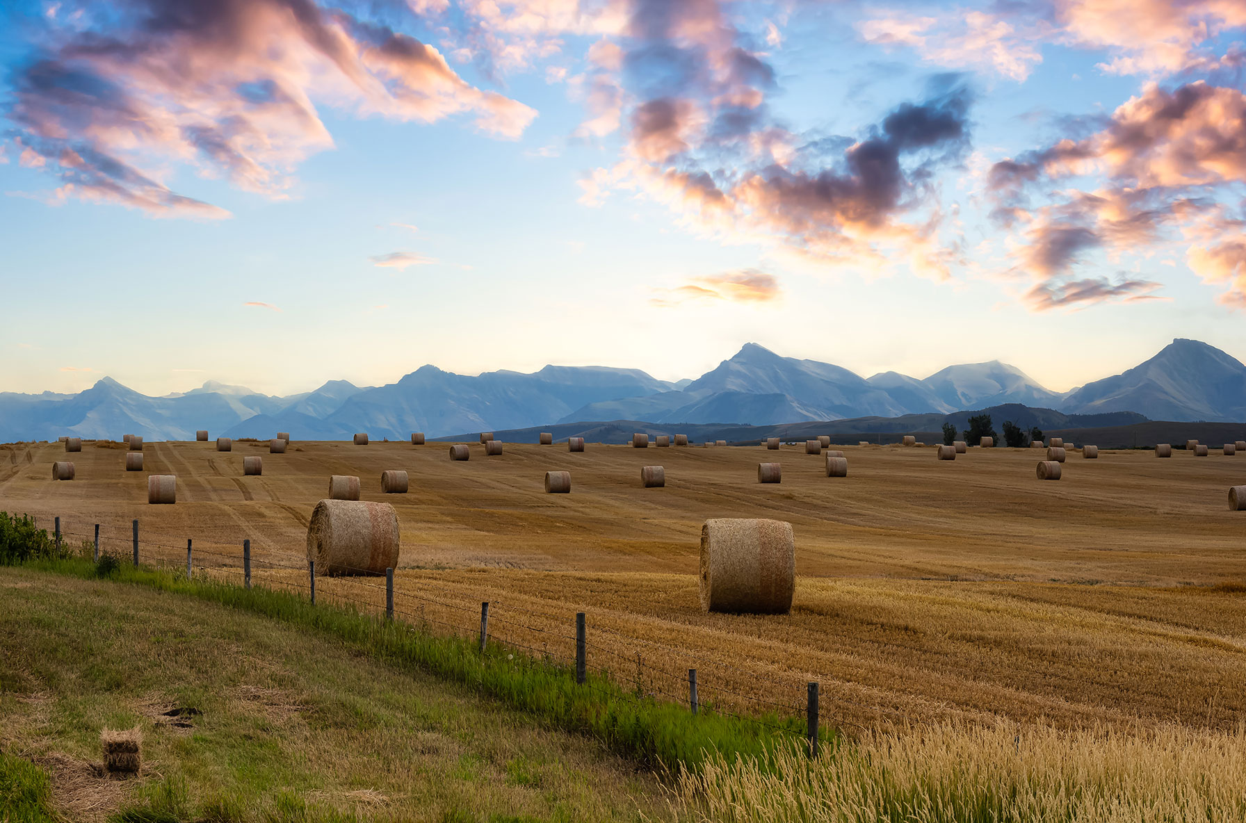 alberta