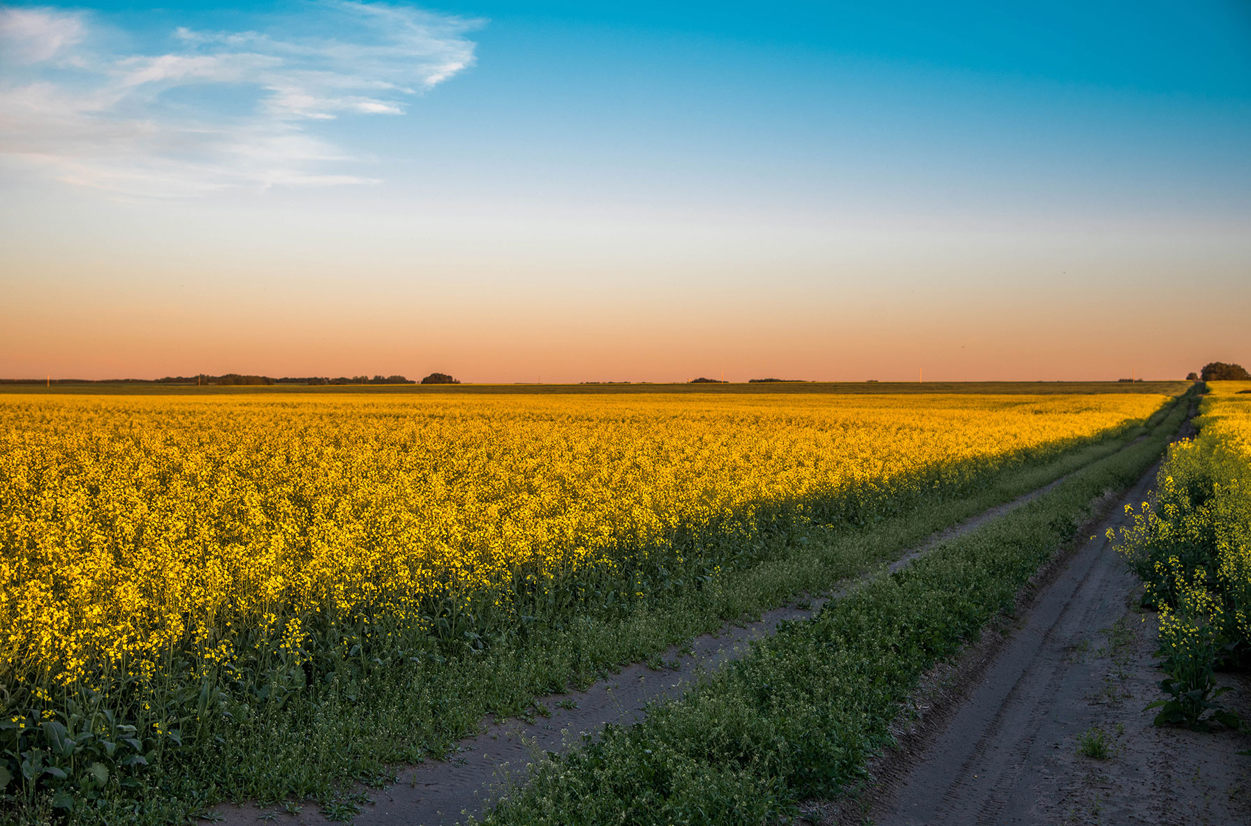 Juno EMR Saskatchewan